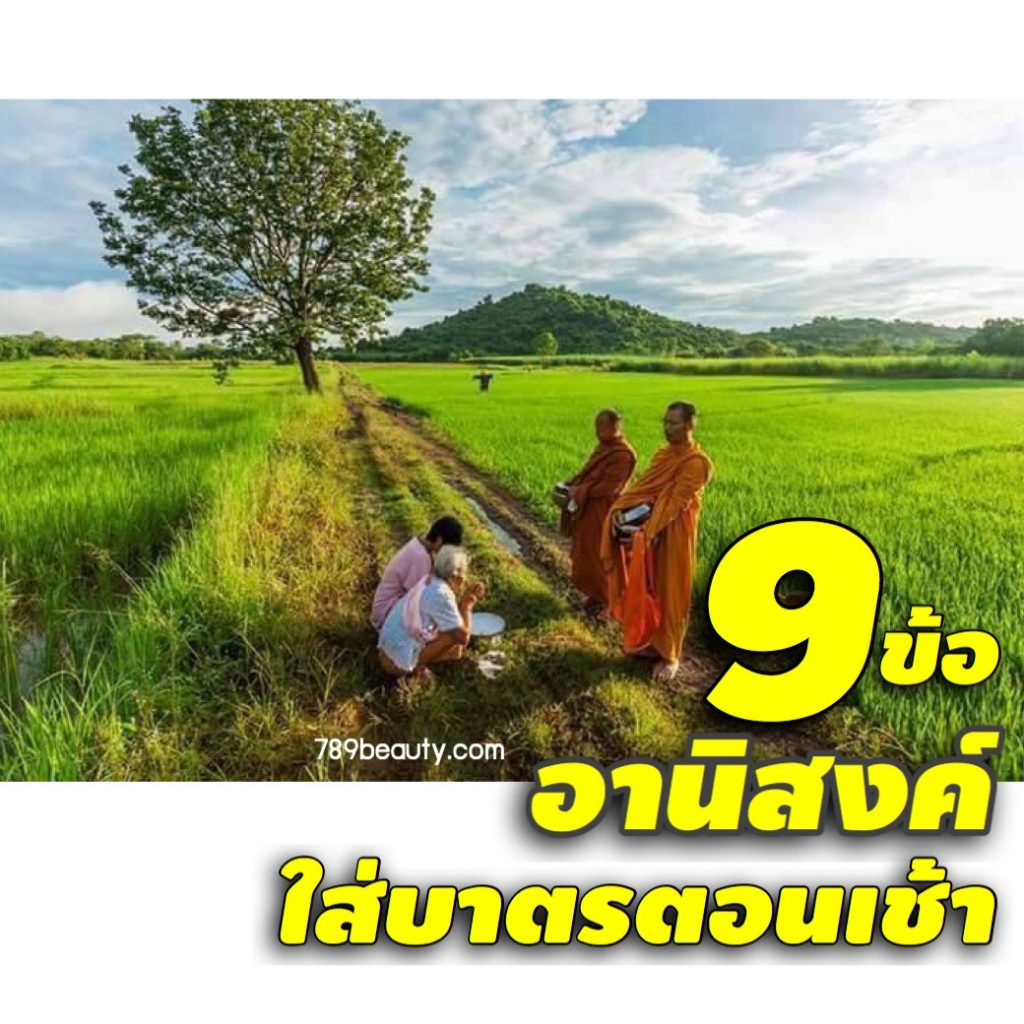 My Image 4